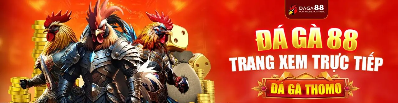 Hình ảnh tượng trưng cho điều khoản và điều kiện minh bạch của TK88BET WIN