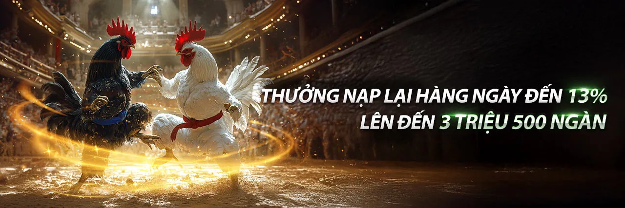 Hình ảnh đá gà trực tuyến tại tk88bet win, sân đấu kịch tính