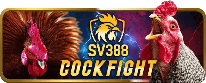 Sân vận động với biểu tượng hoàn trả tiền cho cá cược thể thao TK88BET WIN